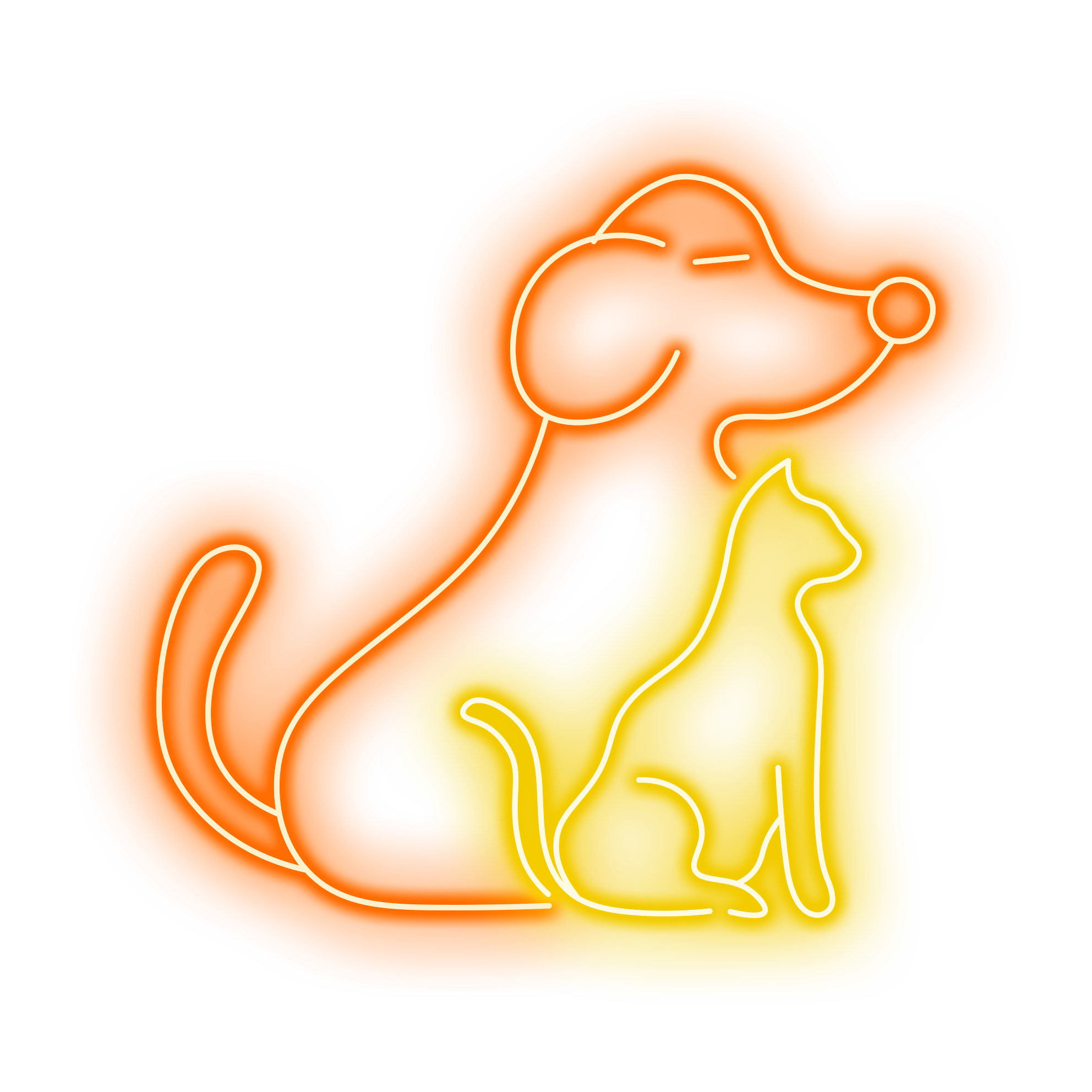 Dog Cat Pet Lover Room Wall Decor LED LED neon sign product image