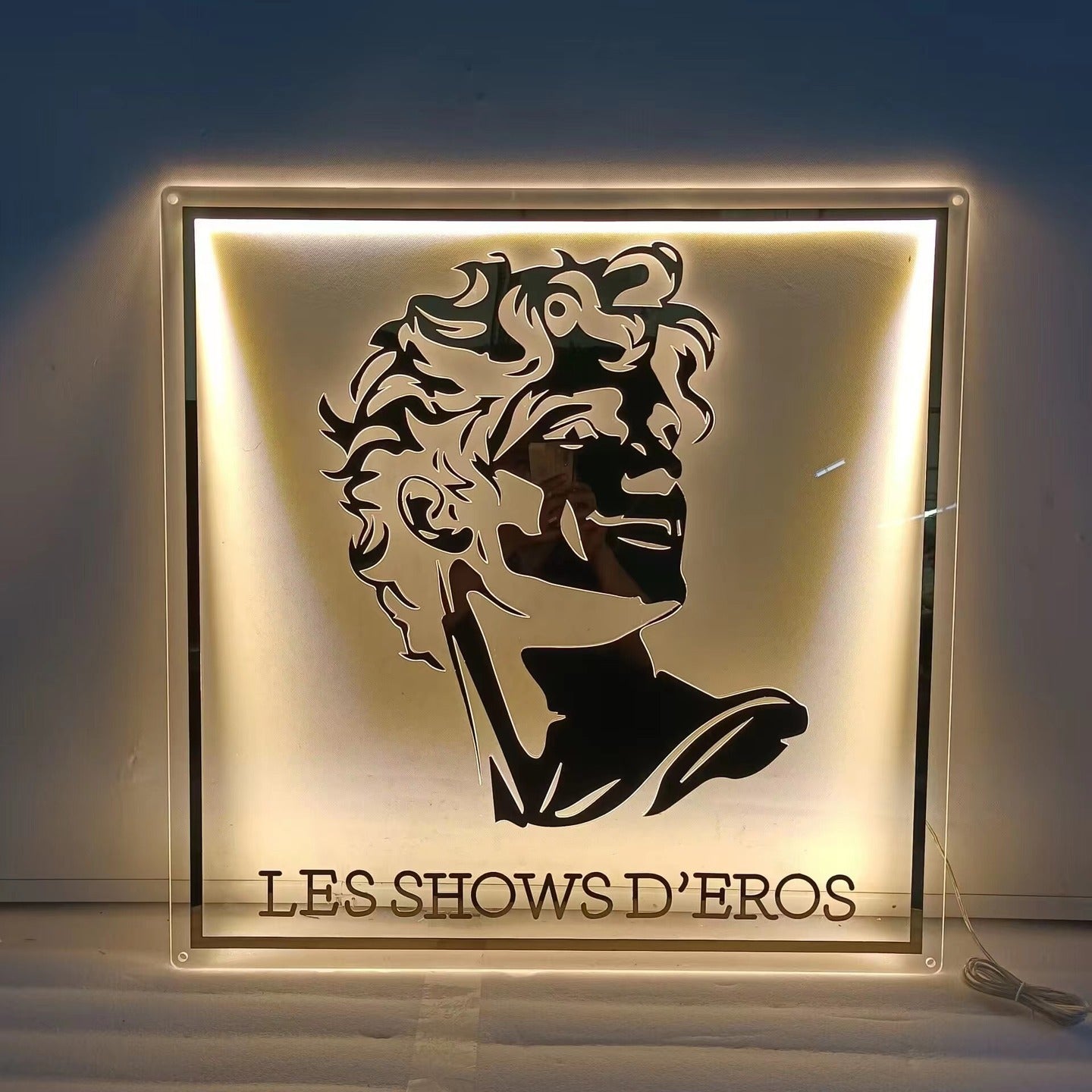 Luxury LED Backlit Acrylic Sign - Les LED neon sign by NeonCS