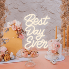 Best Day Ever LED neon sign product image