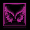 Angel Devil Wings Infinity LED neon sign by NeonCS
