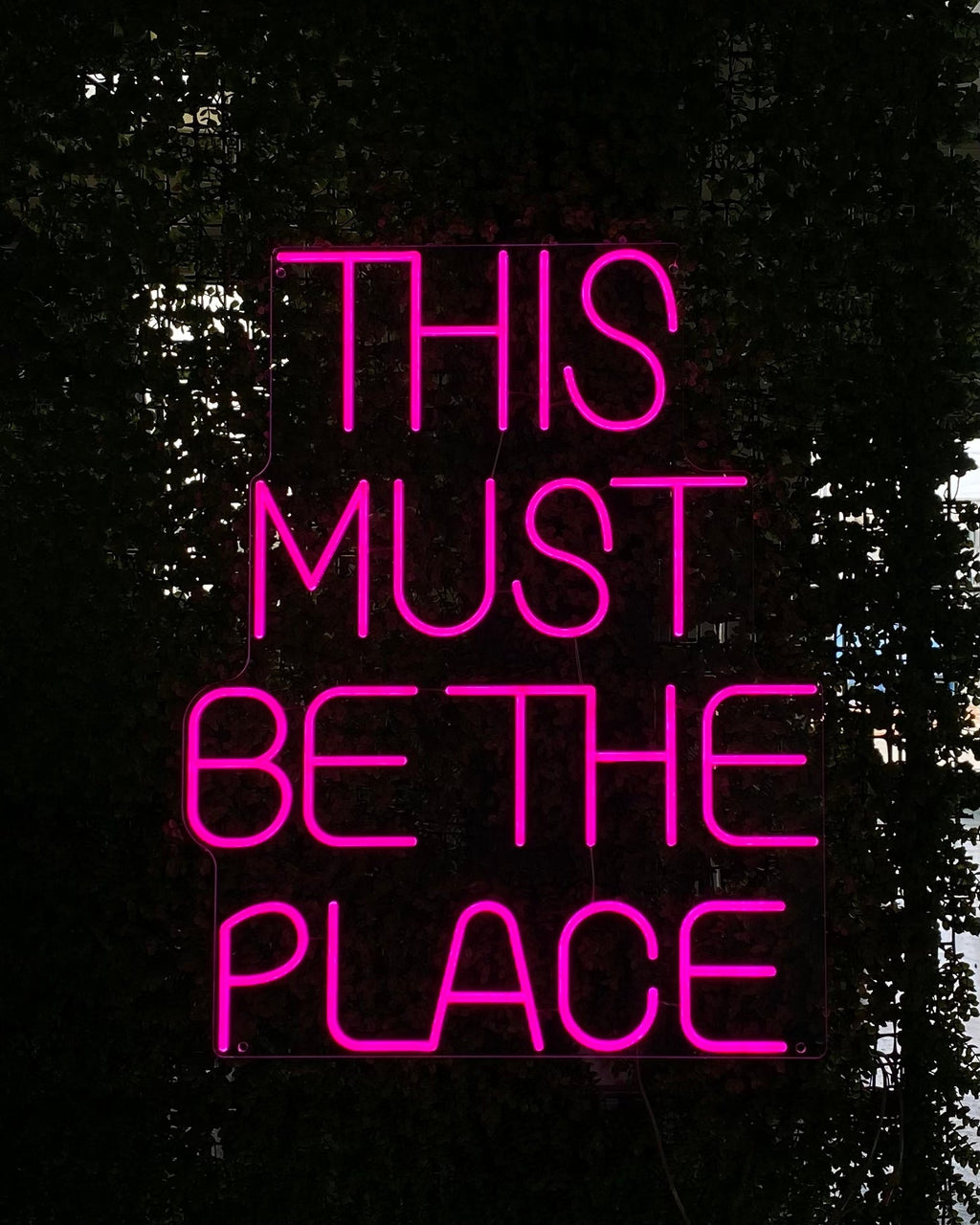 This Must Be the Place Home Decor LED neon sign product image