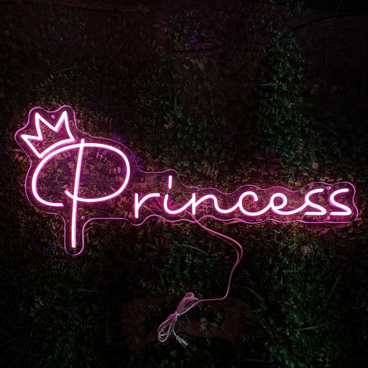 Pink Princess with Crown for Home Art LED neon sign product image