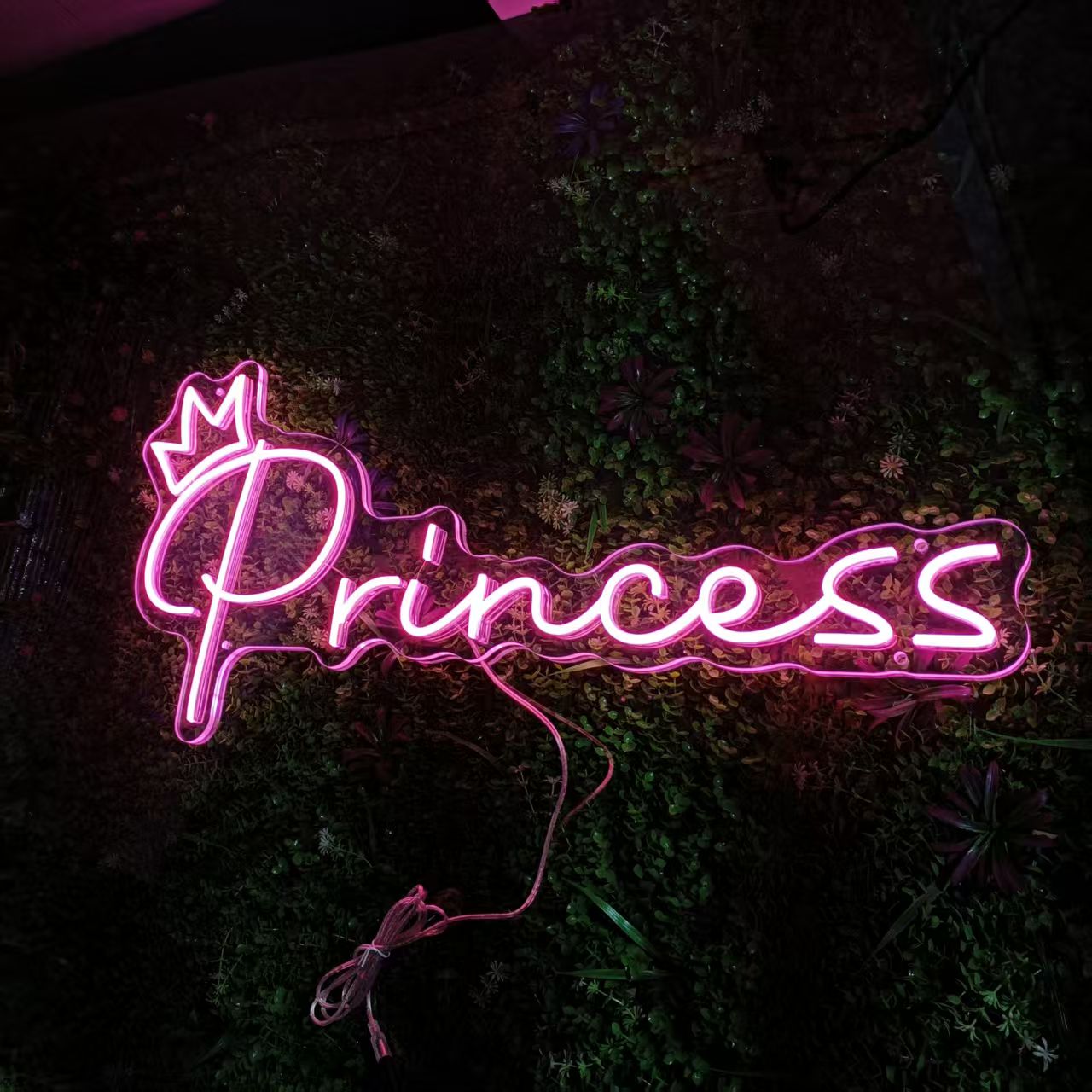 Pink Princess with Crown for Home Art LED neon sign product image