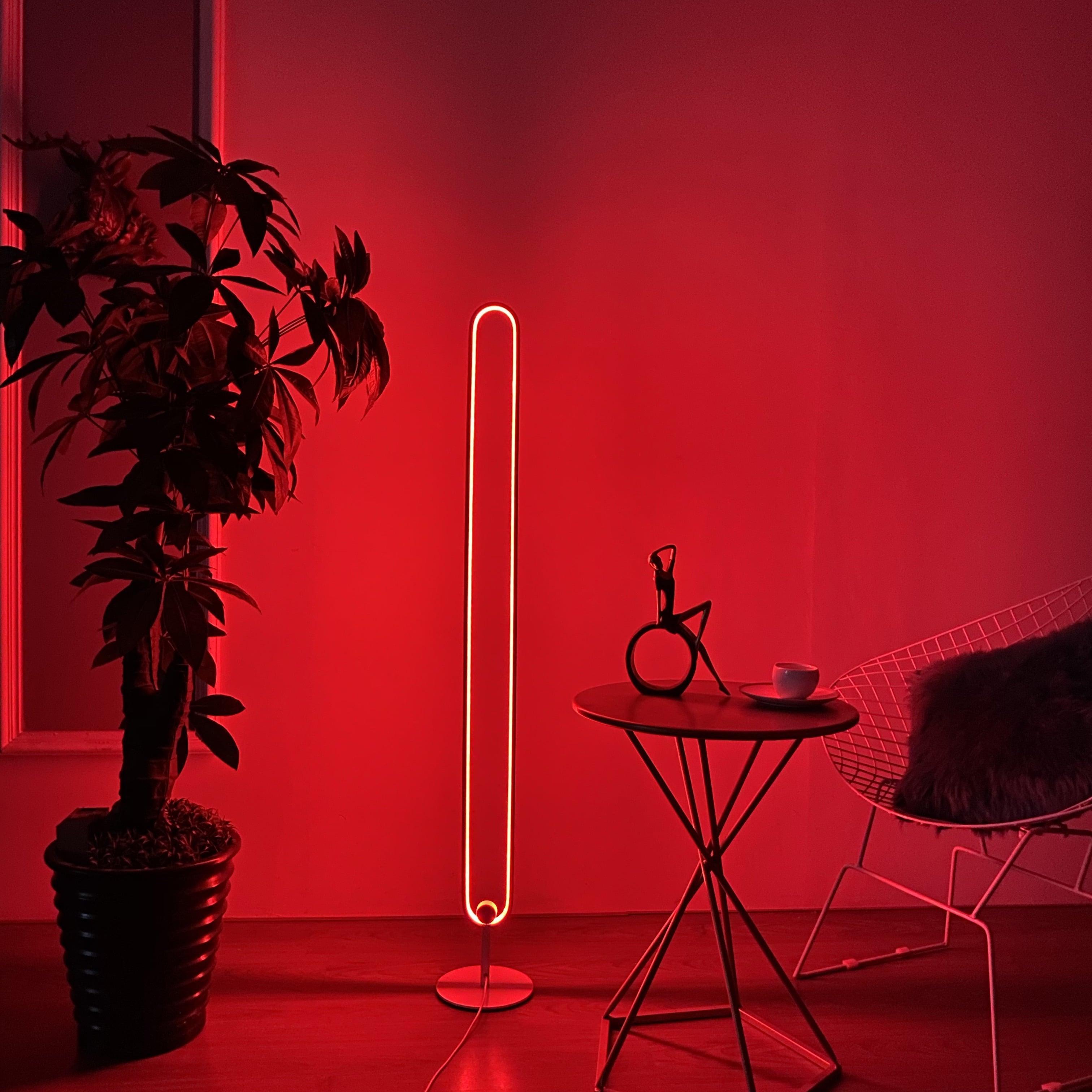Infinity Floor Lamp LED neon sign product image