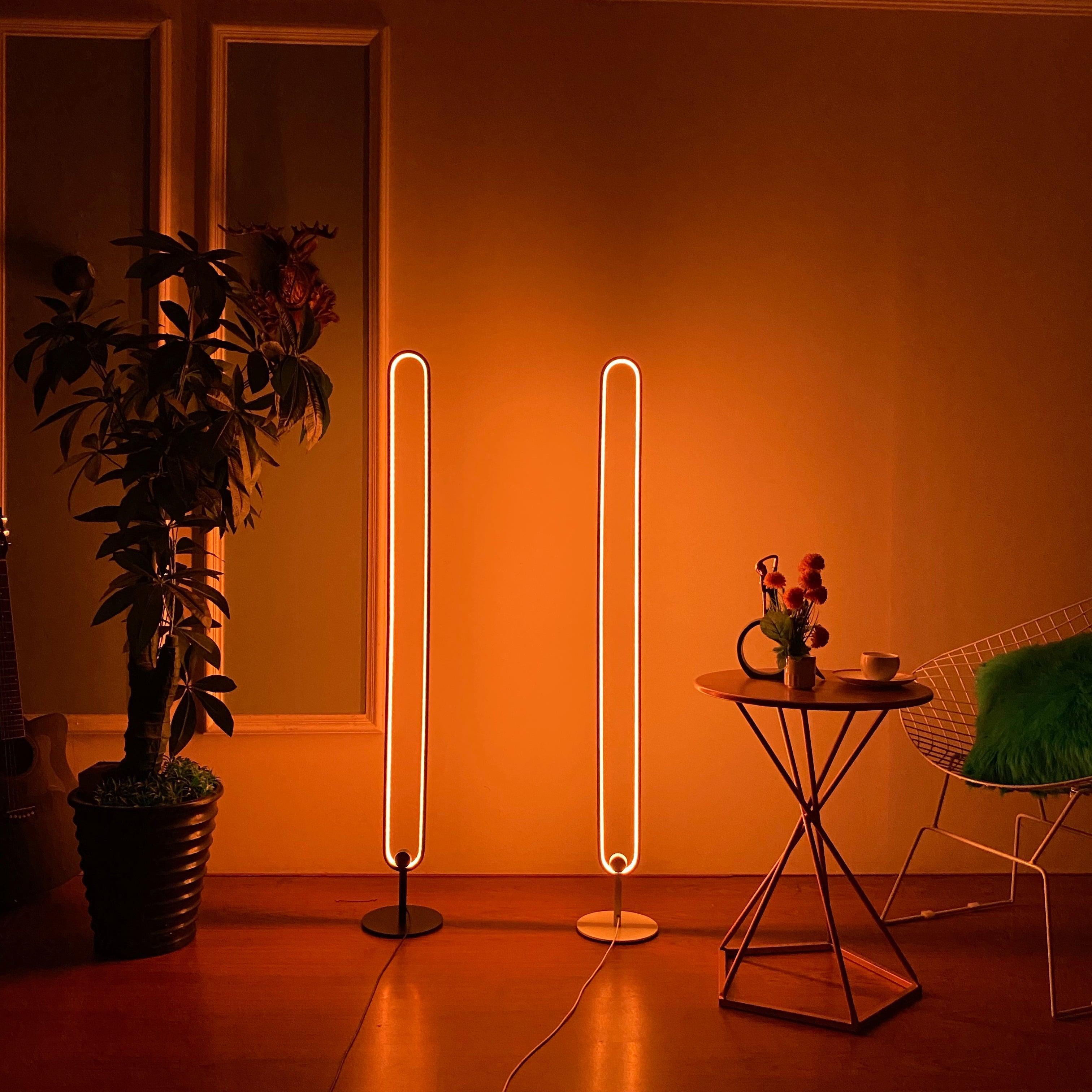 Infinity Floor Lamp LED neon sign product image